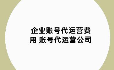 企业账号代运营费用 账号代运营公司